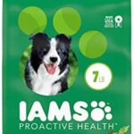 IAMS Adult Minichunks Small Kibble High Protein Dry Dog Food with Real Chicken, 7 lb. Bag