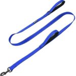 Max and Neo Double Handle Traffic Dog Leash Reflective - We Donate a Leash to a Dog Rescue for Every Leash Sold (Blue, 6 FT)