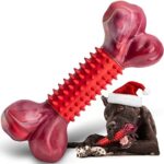 Apasiri Tough Dog Toys for Aggressive Chewers Large Breed, Chew Toys, Durable Bones Made with Nylon and Rubber, Big Indestructible Toy, Medium Puppy Teething chew