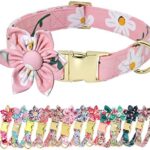 Beirui Cute Girl Dog Collars for Small Medium Large Dogs, Multiple Floral Patterns Female Pet Dog Collars with Flower for Wedding Holiday(XS:Neck 8-12", Pink-5)