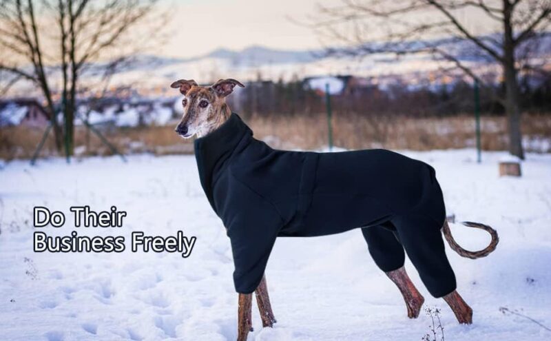 ROZKITCH Dog Winter Coat Soft Fleece Pullover Pajamas, Pet Windproof Warm Cold Weather Jacket Vest Cozy Onesie Jumpsuit Apparel Outfit Clothes for Small, Medium, Large Dogs Walking Hiking Travel Sleep - Image 7