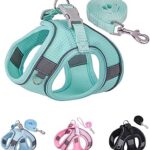 Solmoony Dog Harness for Small Medium Dogs No Pull, Puppy Harness and Leash Set, Puppy Harness for Small Dogs, Step in Harness for Small Dogs, Small Dog Harness, mesh Dog Harness. (Green, S)