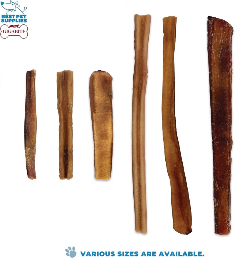 Best Pet Supplies GigaBite 12 Inch Monstrous Bully Sticks (4 Pack) - All Natural, Free Range Beef Pizzle Dog Treat - Image 4