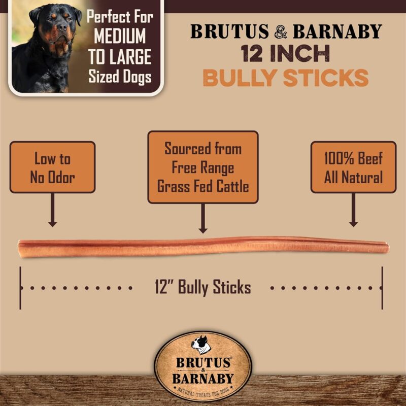 BRUTUS & BARNABY Bully Sticks for Large Dogs - (5-Pack) No Hormones Added and Grain Free, Low Odor Bullie, 12" Bully Bones for Dogs or Puppies - Image 3