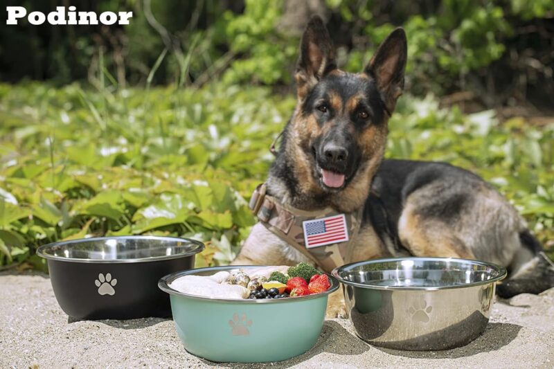 Podinor Large Dog Water Bowl 2 Pack, 170oz Stainless Steel Extra Large Dog Food Bowl for Big Giant Dogs - Image 7