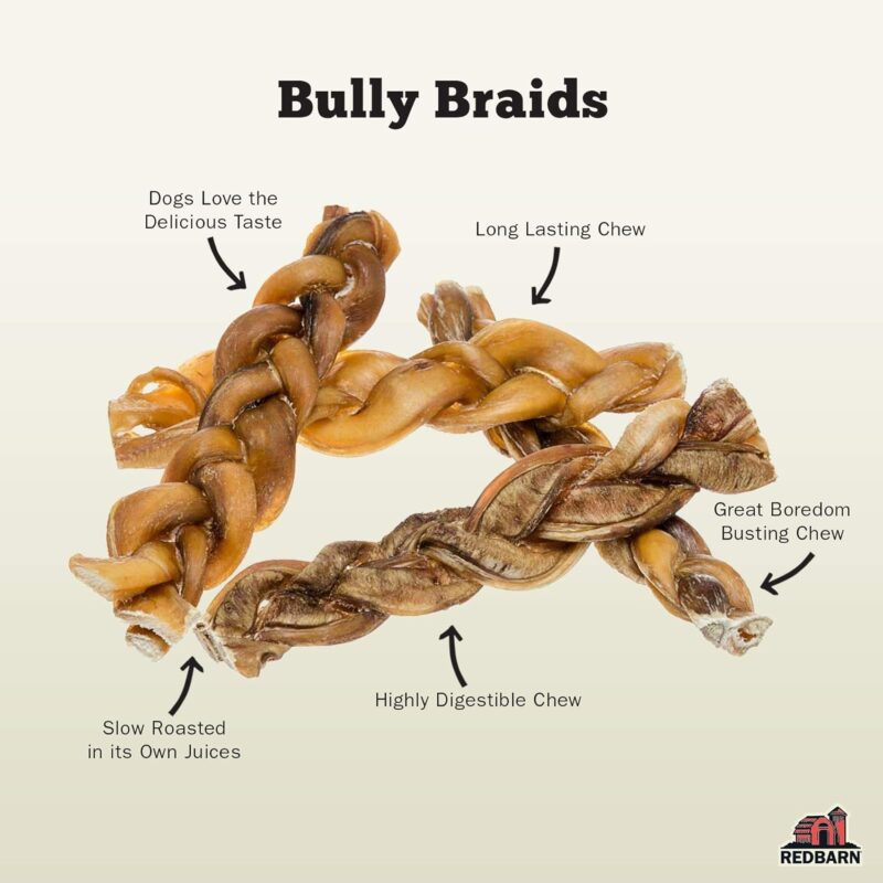 Redbarn 12" Braided Bully Sticks for Dogs (Pack of 1) - Image 3