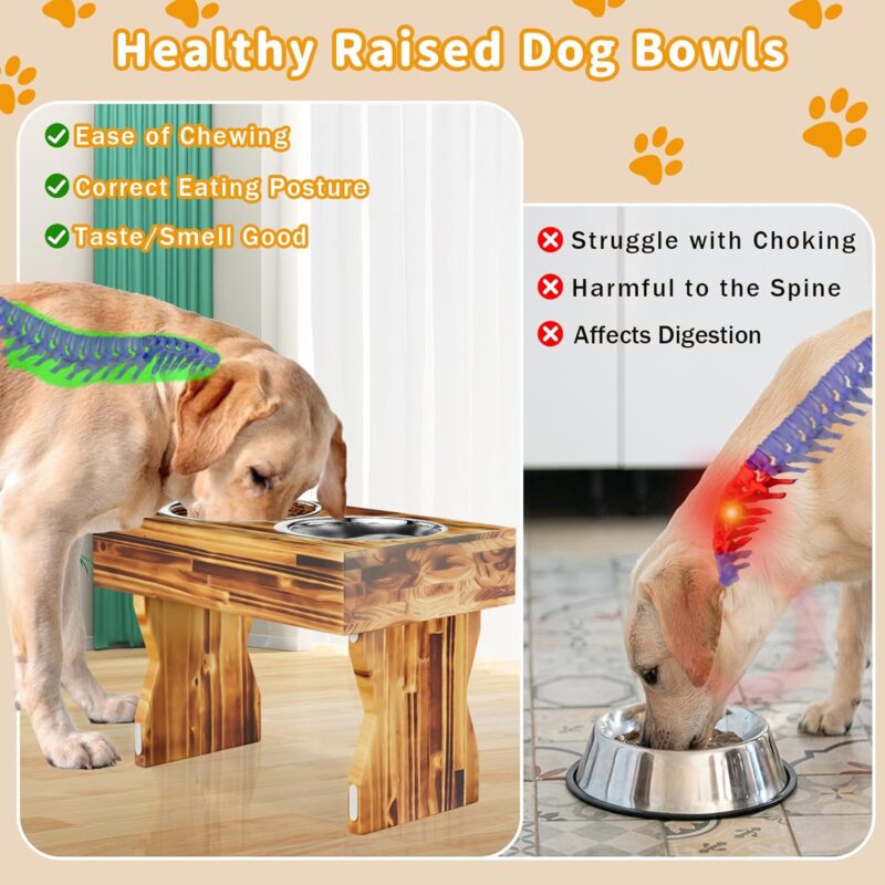 AMENER Elevated Dog Bowls with 2 Stainless Steel Dog Food Bowls-3 Height Adjustable Raised Dog Bowl Stand Non-Slip Dog Bowl Holder- Wooden Dog Feeding Station for Small Medium Dogs - Image 2