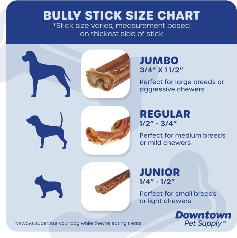 Downtown Pet Supply USA Sourced Thin Junior Bully Sticks (12" - 1/2 LB) - Bully Sticks for Small Dogs and Puppies- Single Ingredient Long Lasting Dog Dental Treats - Alternative to Chew Bones - Image 3