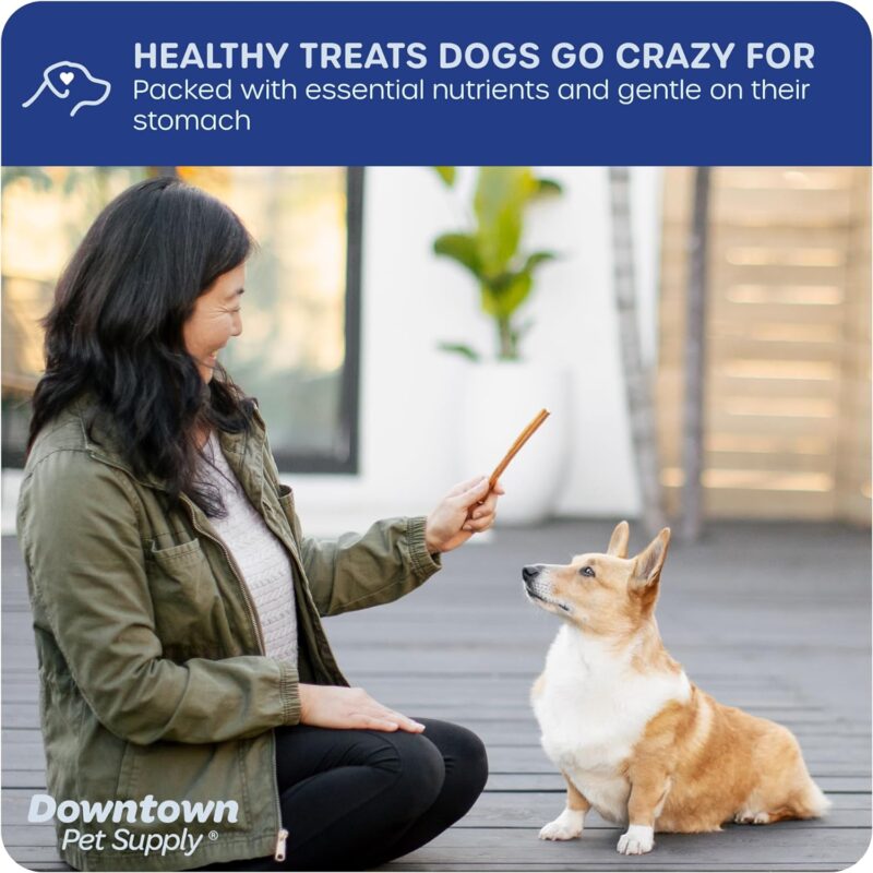 Downtown Pet Supply USA Sourced Thin Junior Bully Sticks (12" - 1/2 LB) - Bully Sticks for Small Dogs and Puppies- Single Ingredient Long Lasting Dog Dental Treats - Alternative to Chew Bones - Image 4