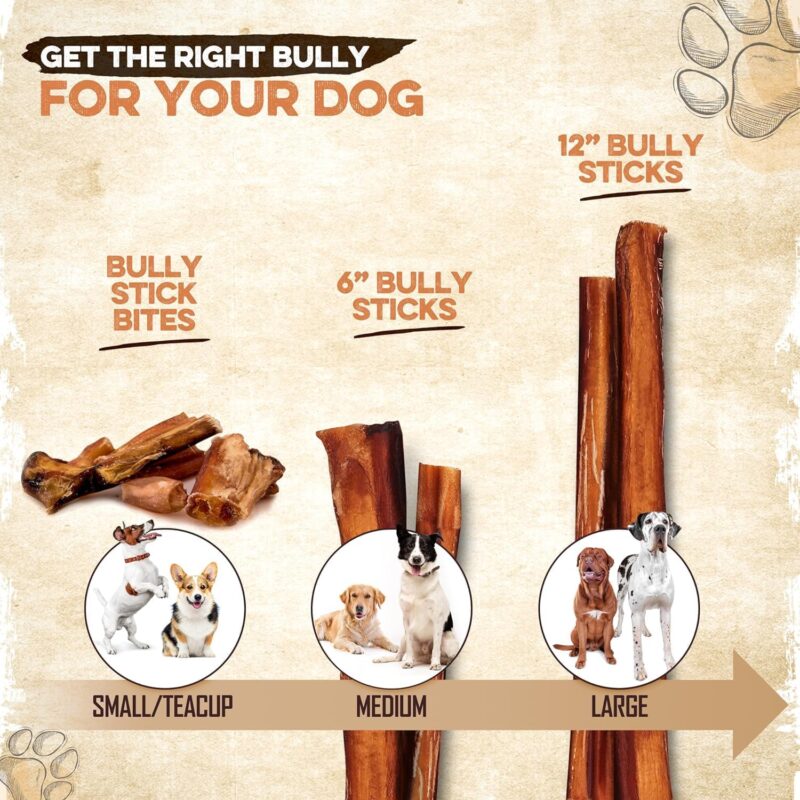 BRUTUS & BARNABY Bully Sticks for Large Dogs - (5-Pack) No Hormones Added and Grain Free, Low Odor Bullie, 12" Bully Bones for Dogs or Puppies - Image 6