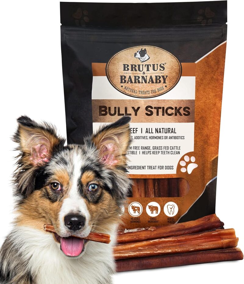 BRUTUS & BARNABY Bully Sticks for Large Dogs - (5-Pack) No Hormones Added and Grain Free, Low Odor Bullie, 12" Bully Bones for Dogs or Puppies