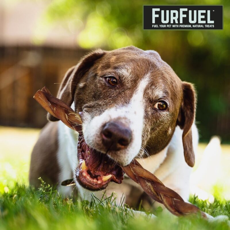 FURFUEL Braided Bully Sticks for Large Dogs, Medium & XL Dogs. 6 Pack, 12 Inch Bully Sticks Braided Treats. Low Odor, Natural Bully Braided Sticks (12 Inch 6 Count) - Image 3