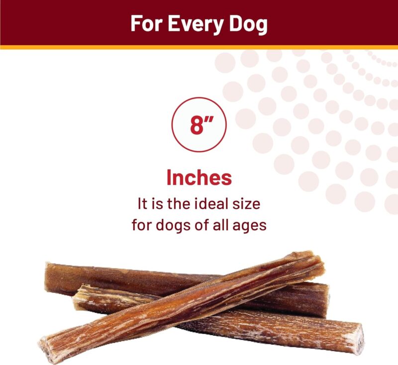 from The Farm Bully Stick 8 inch - Dog Bully Sticks - Odor Free Bully Sticks - Nature Gnaws Natural Dog Chews - Odor Free Bully Sticks for Dogs - Bully Sticks for Medium Dogs - Image 2