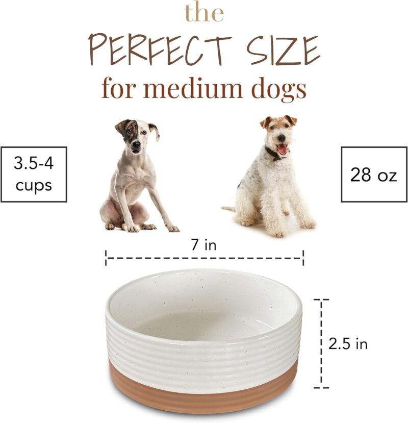 MORA CERAMICS HIT PAUSE Ceramic Pet Feeder, Vanilla, 28oz - Lead-Free Glaze, Round, Medium Dogs & Cats - Image 2