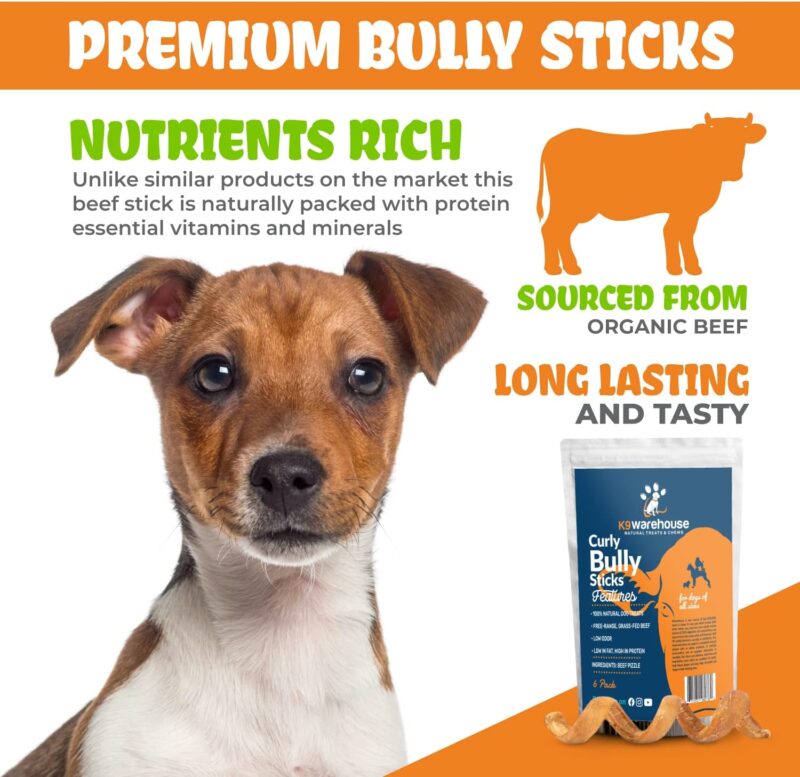 K9warehouse® - Curly Bully Sticks for Dogs - 5 to 8 inch, 6 Pack - High Protein, Odor Free Springs, Natural Pizzle Spiral Dog Chews - Perfect Treats for Small, Medium, Large Dogs - Rawhide Alternative - Image 8