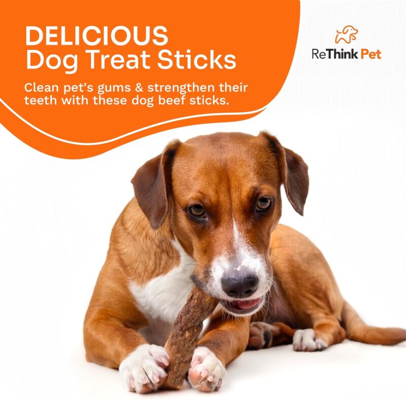 Premium Crunchy Bully Sticks - Natural Dog Chews and Training Treats for Dogs - 4 pcs - Image 6