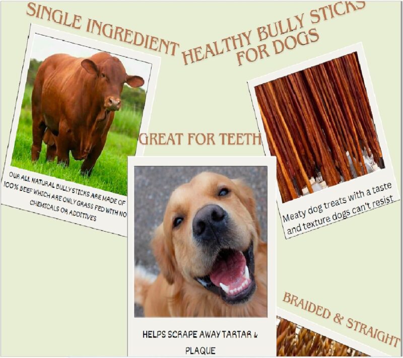 Natural Odor Bully Sticks for Dogs，Healthy Long Lasting Pizzle Chews Large (6 Inch, 12 Pack)，Single Ingredient，All Natural，Free Range 100% Grass-Fed Beef，Grain-Free, Low Fat (Large) - Image 3