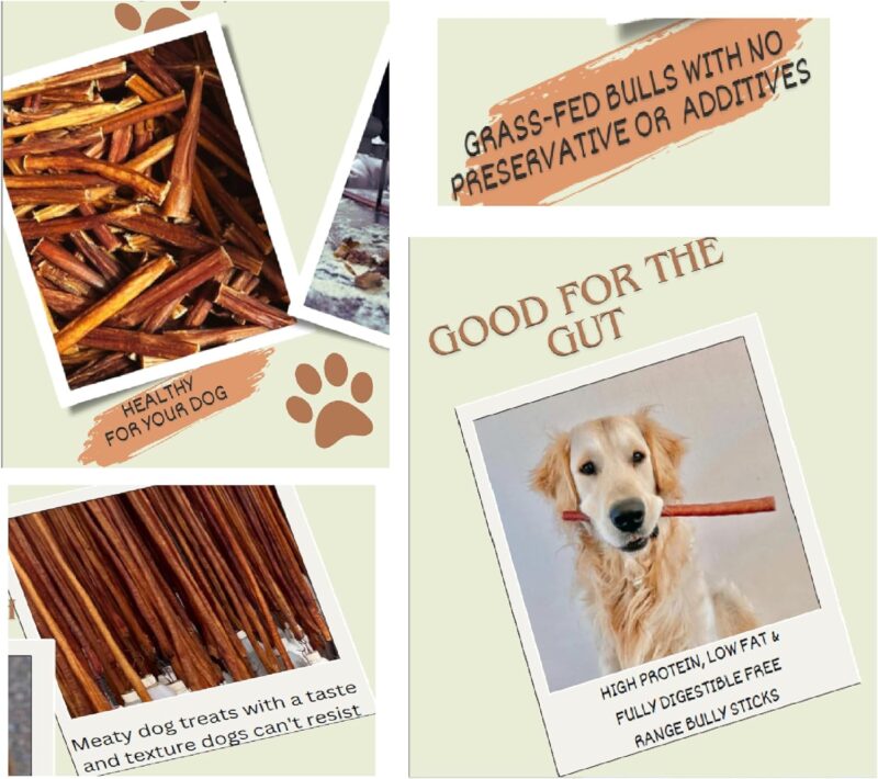 Natural Odor Bully Sticks for Dogs，Healthy Long Lasting Pizzle Chews Large (6 Inch, 12 Pack)，Single Ingredient，All Natural，Free Range 100% Grass-Fed Beef，Grain-Free, Low Fat (Large) - Image 4