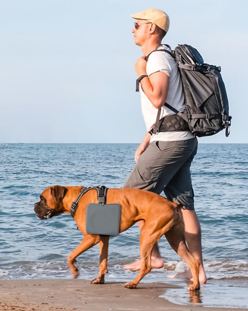 Collapsible Portable 2-in-1 Dog Bowl, Travel Dog Bowl Integrated, Silicone Foldable Expandable Food Water Bowl with Carabiner - Anti-Spill and Anti-Skid - for Camping/Traveling LPFLASAT (Grey) - Image 6