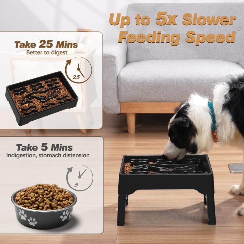 Elevated Slow Feeder Dog Bowls, 9 Cups Raised Dog Slow Feeder Bowls Large Breed with 4 Adjustable Heights Dog Food Bowl Stand, Non Slip Anti Gulping Slow Eating Dog Bowl for Medium & Large Dogs - Image 3