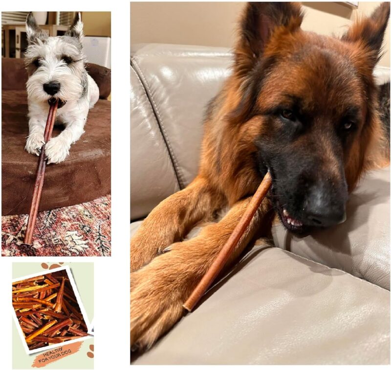 Natural Odor Bully Sticks for Dogs，Healthy Long Lasting Pizzle Chews Large (6 Inch, 12 Pack)，Single Ingredient，All Natural，Free Range 100% Grass-Fed Beef，Grain-Free, Low Fat (Large) - Image 5