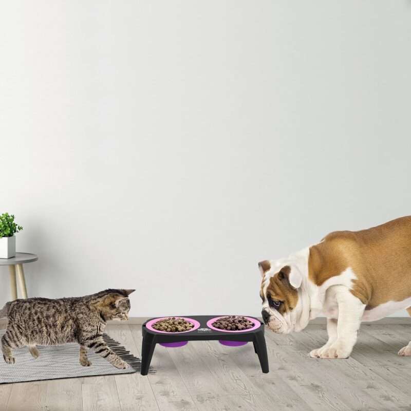 Elevated Cat and Dog Food Bowls with Non-Slip Stand - Removable and Collapsible Silicone Feeder for Food and Water - 16-Ounces Each by PETMAKER (Pink) - Image 4