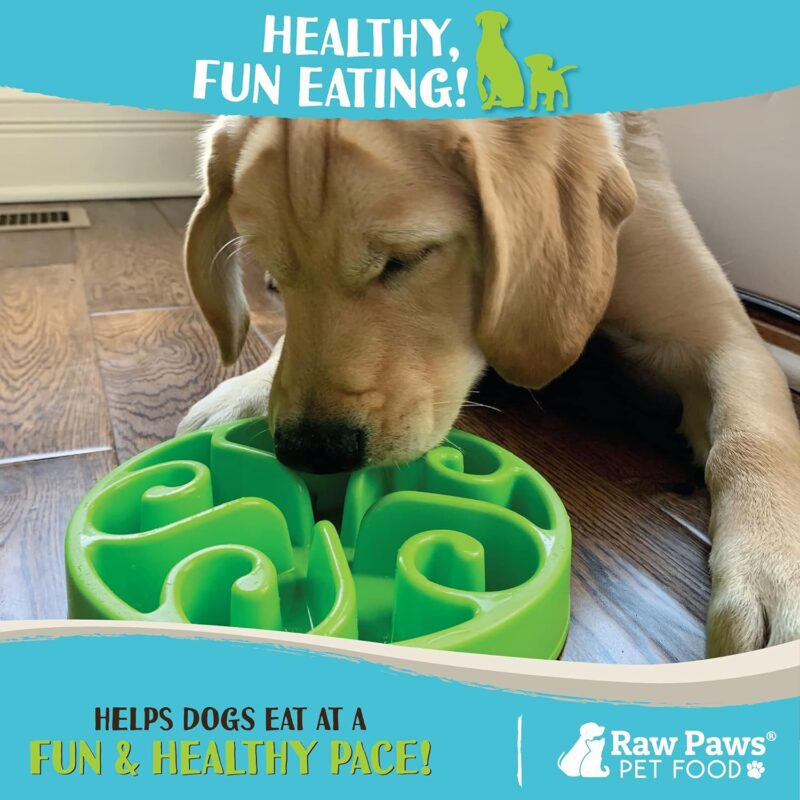 Raw Paws Slow Feeder Bowl, 1 ct - Dog Bowl Slow Feeder Large Breed - Canine Slow Feeder Bowls for Dogs - Eating Control Dog Bowl - Slow Food Bowl for Puppies - Maze Dog Bowl - Slow Feeder Dog Bowls - Image 5