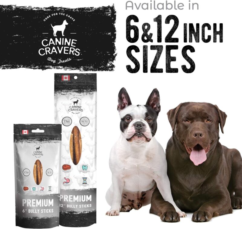 Canine Cravers Maplewood Smoked Bully Sticks 12” Inch - 100% Natural Free Range Grass Fed Beef - Made in Canada Odor-Reduced Long Lasting, Rawhide Free Dog Chews High Protein Low Fat Dental Care - Image 6