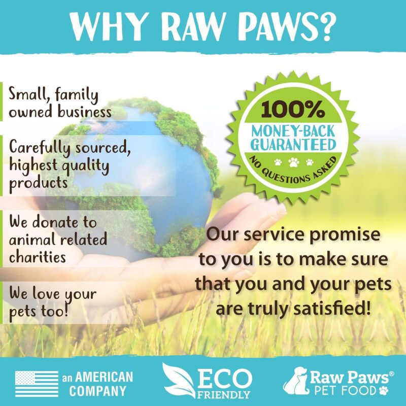 Raw Paws Slow Feeder Bowl, 1 ct - Dog Bowl Slow Feeder Large Breed - Canine Slow Feeder Bowls for Dogs - Eating Control Dog Bowl - Slow Food Bowl for Puppies - Maze Dog Bowl - Slow Feeder Dog Bowls - Image 6