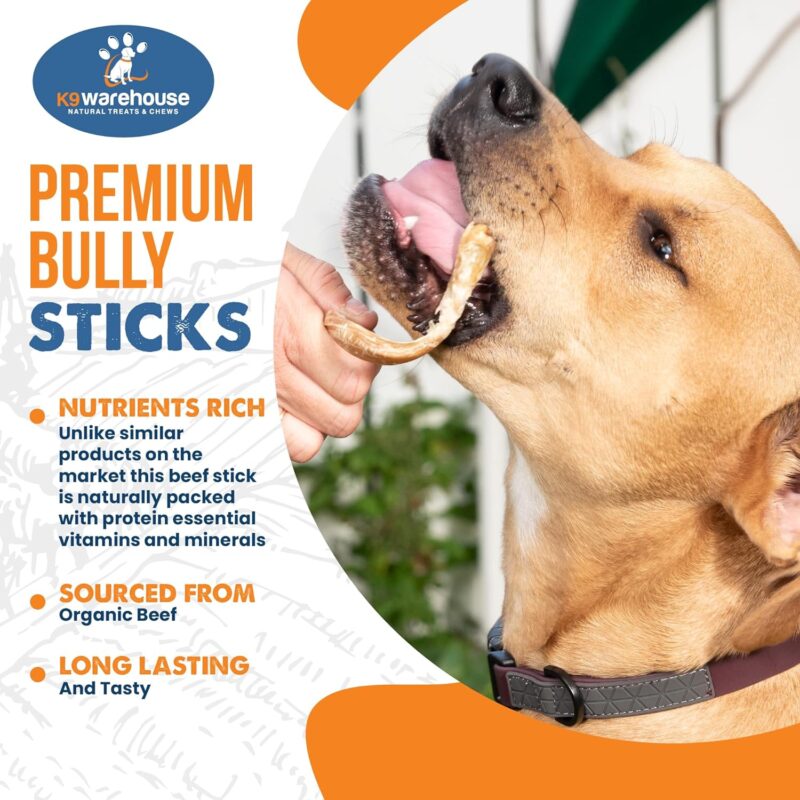 K9warehouse® - Curly Bully Sticks for Dogs - 5 to 8 inch, 6 Pack - High Protein, Odor Free Springs, Natural Pizzle Spiral Dog Chews - Perfect Treats for Small, Medium, Large Dogs - Rawhide Alternative - Image 4