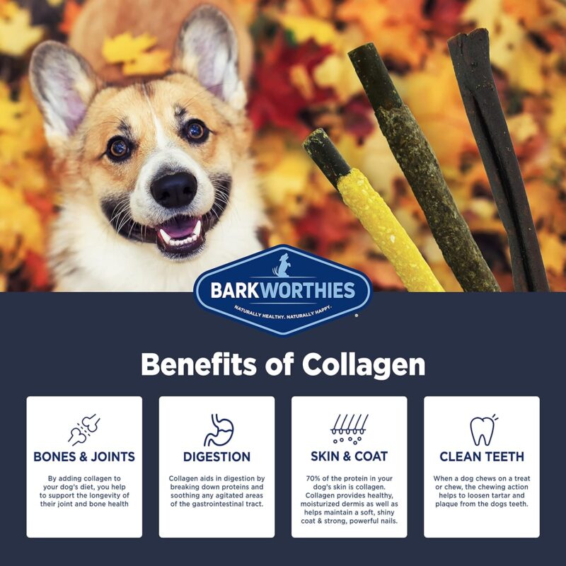 Barkworthies Harvest Buffet Collagen Sticks (6-Inch, 3-Count) - Great Tasting, Highly Digestible, Variety Pack, Dog Chew - Image 3