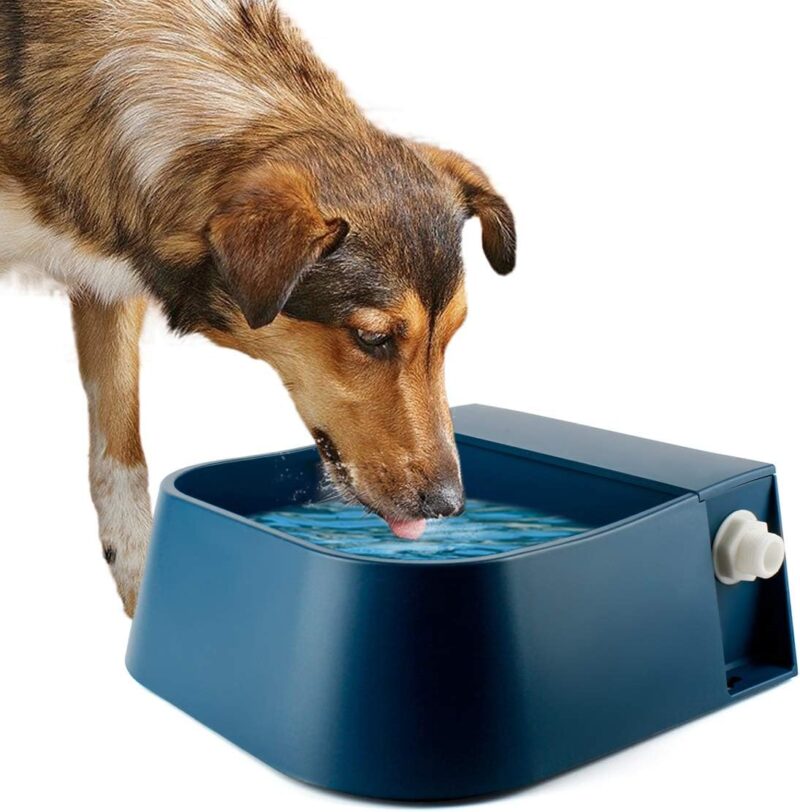 Lesypet Dog Automatic Water Bowl, Outdoor Dog Water Bowl Auto-Fill Waterer Float Valve Bowl for Dog Goat Cat, Blue 2L