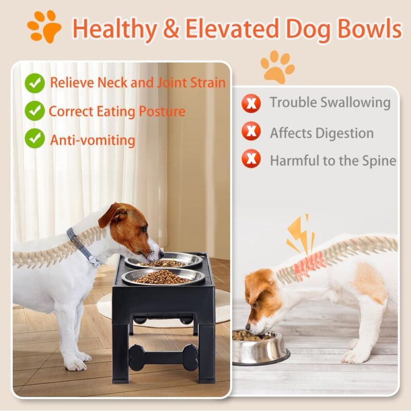 Marchul Elevated Dog Bowls, 4 Height Adjustable Raised Dog Bowls with 2 Stainless Steel Bowls,Non-Slip Dog Food and Water Bowl with Stand Adjusts to 3.5”,9.05”,10.6”,12.2” for Small Medium Large Dogs - Image 4