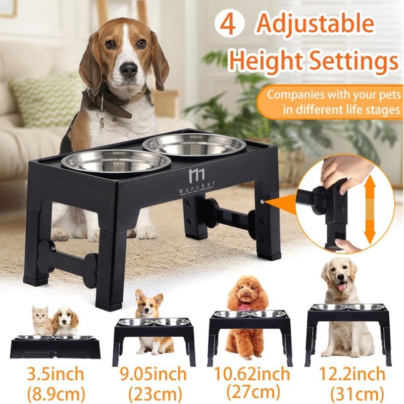 Marchul Elevated Dog Bowls, 4 Height Adjustable Raised Dog Bowls with 2 Stainless Steel Bowls,Non-Slip Dog Food and Water Bowl with Stand Adjusts to 3.5”,9.05”,10.6”,12.2” for Small Medium Large Dogs - Image 2