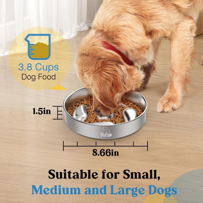 Slow Feeder Dog Bowls, 304 Stainless Steel Dog Slow Feeder Bowl 3.8 Cups Metal Dog Food Bowl with Non-Slip Bottom Anti Gulping Slow Eating Dog Bowl for Medium & Large Breed, Dishwasher Safe - Image 2