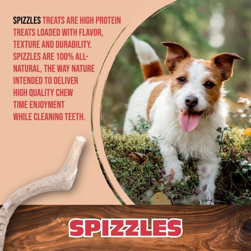 Spizzles - Beef Gullet Hunk - Single Ingredient Tasty Dog Chew - High Protein and Teeth Cleaning - All-Natural - Free-Range and Grass-Fed Cattle - 12" - Image 5