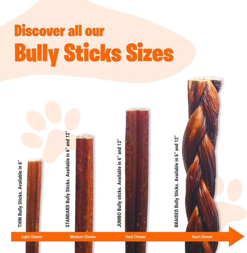 Dog Treats, 6 inch Standard Bully Sticks for Dogs, Fully Digestible 100% Beef Pizzle Single Ingredient, Long-Lasting Chews for Medium Dogs 6" (25 Pack) - Image 4