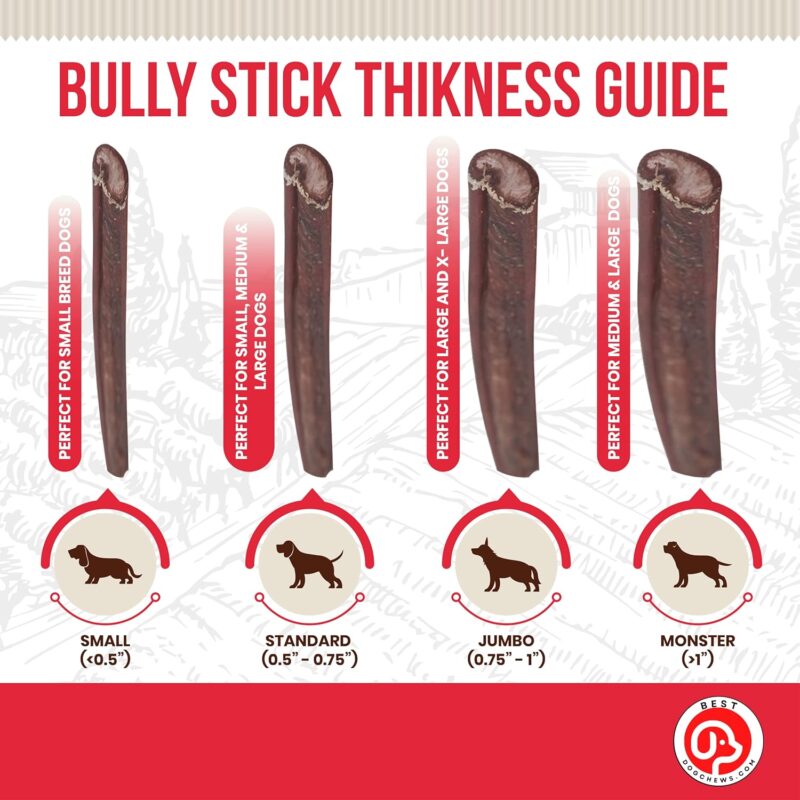 Bully Sticks Standard Size -100% All Natural for Dogs Grain and Rawhide Free Beef Chews, Grass-Fed Promotes Joint & Dental Health for All Breed Sizes Dogs and Puppies 12 inch (6 Count) - Image 4