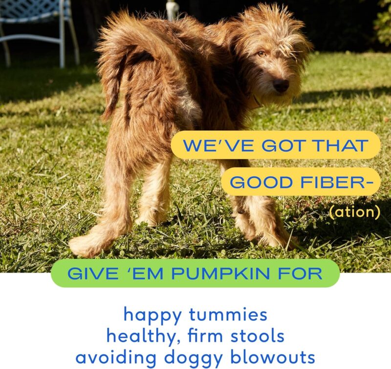 Native Pet Yak Chews for Dogs (5 Small Chews) & Organic Pumpkin for Dogs (8 oz.) - Image 3