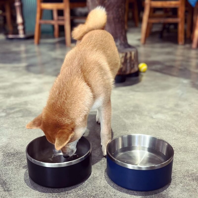 Dog Bowl for Food and Water, 64 Oz Stainless Steel Pet Feeding Bowl, Durable Non-Skid Double Wall Insulated Heavy Duty with Rubber Bottom for Medium Large Sized Dogs (64 Ounces/8 Cup, Blue) - Image 3