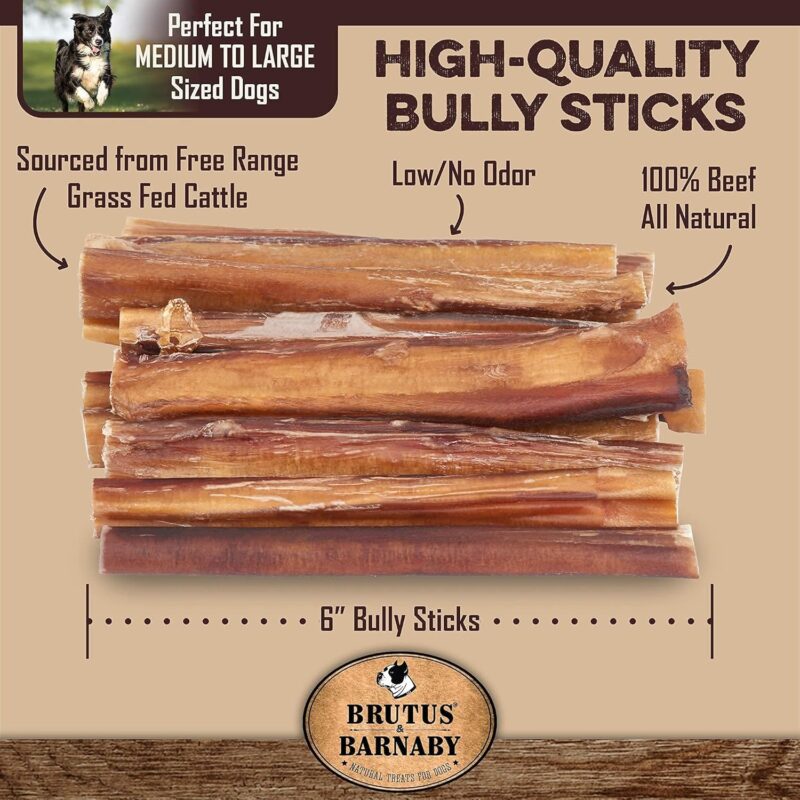 BRUTUS & BARNABY 12 Whole Pig Ears + 12 Bully Sticks for Dogs - Image 3