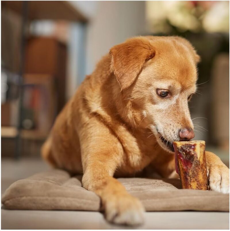 Long Lasting 4.5" Femur Dog Bone Center Cut Meaty Nutritious Slow Roasted Beef (2 Bones) - Image 3