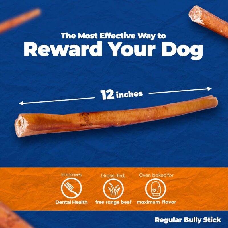 Raw Dog Bully Sticks All-Natural Dog Treats,12IN Regular Size, 1pk - Premium Odor Free Dog Chews, 100% Beef, Grass Fed, Non-GMO - Image 2