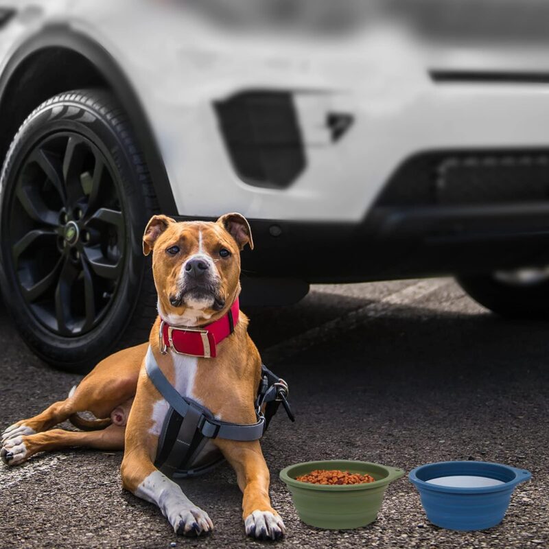 SLSON 2Pack Collapsible Dog Bowl,Integrated Molding Travel Bowl No Plastic Rim Pet Feeding Bowls for Walking Traveling Outdoors,600ML (Navy Blue+Dark Green) - Image 5