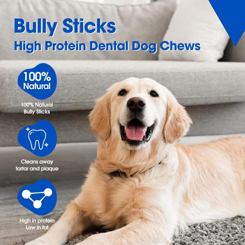 12 Inch Bully Sticks All-Natural 100% Beef, Organic, Grain-Free, Durable and Long-Lasting Chews for Medium & Large Dogs High Protein Supports Dental Health Pet Food(12 Inch, 6 Pack) - Image 3