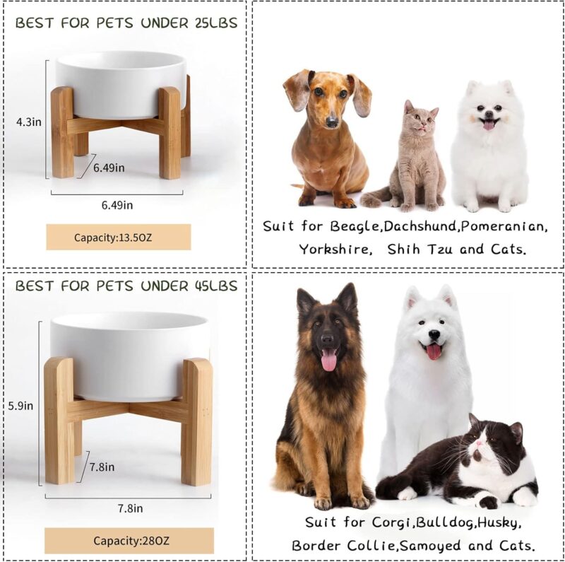 Petygooing White Elevated/Raised Ceramic Dog Bowl for Small Breeds, Dog Food Water Dish with Stand,Pet Feeding Bowl with Anti Slip Rubber for Cats and Small Dogs Puppy 13.5 OZ (5.1In / 1.7 Cups) - Image 5
