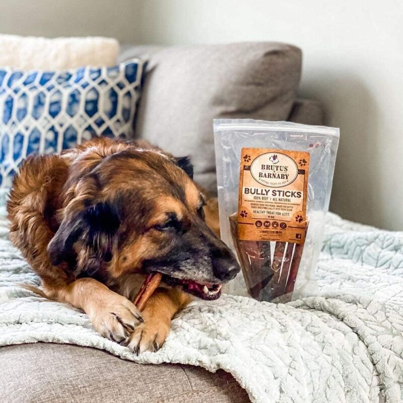 BRUTUS & BARNABY Sweet Potato Kibble Topper + 12 Bully Sticks - Image 8