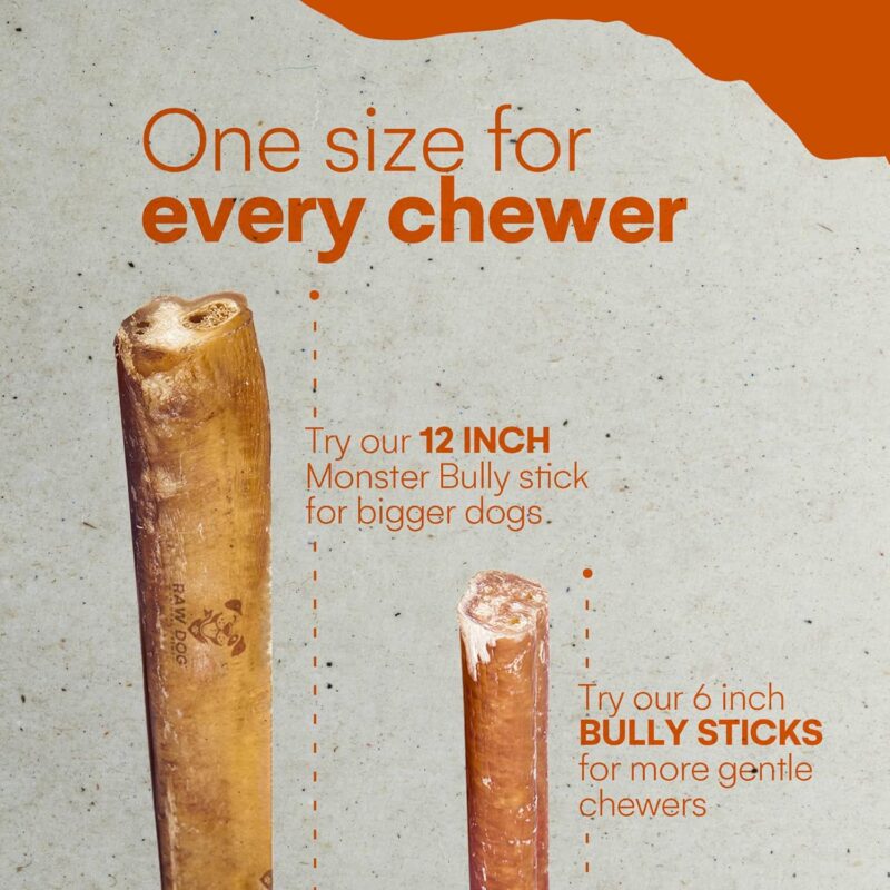 Raw Dog Bully Sticks All-Natural Dog Treats,12IN Regular Size, 1pk - Premium Odor Free Dog Chews, 100% Beef, Grass Fed, Non-GMO - Image 5