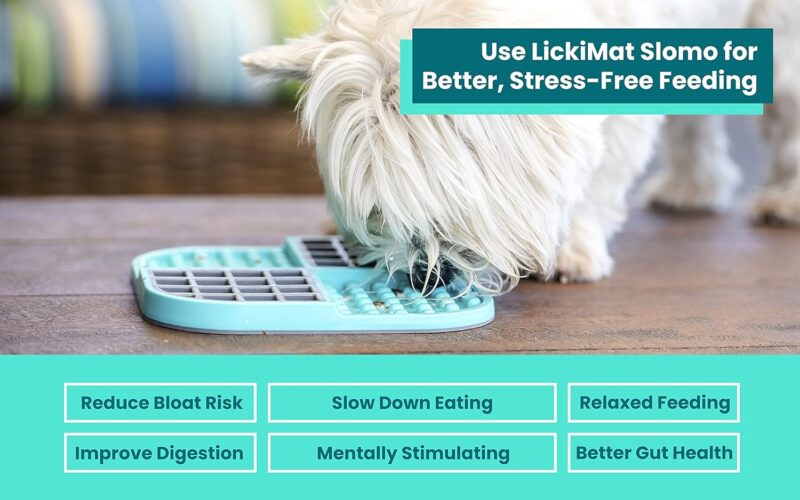 Lickimat Slomo, Dog Slow Feeding Lick Mat, Boredom Anxiety Reducer, Turquoise - Image 3