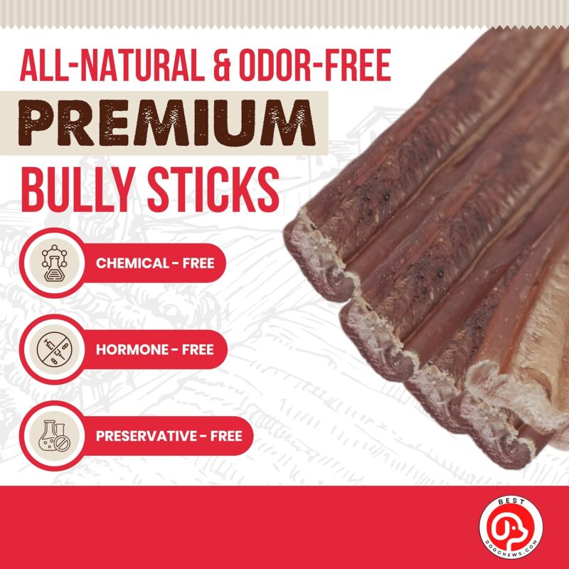 Thin Bully Sticks for Dogs 100% Natural Delicious And Protein Rich Keep Your Dog Busy With Chews And Treats Fully Digestible-Great For Dental Health-For All Breed Sizes-6 inch(12 Count) - Image 2